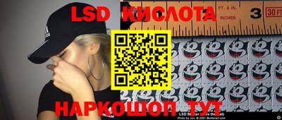 мдпв Бердск