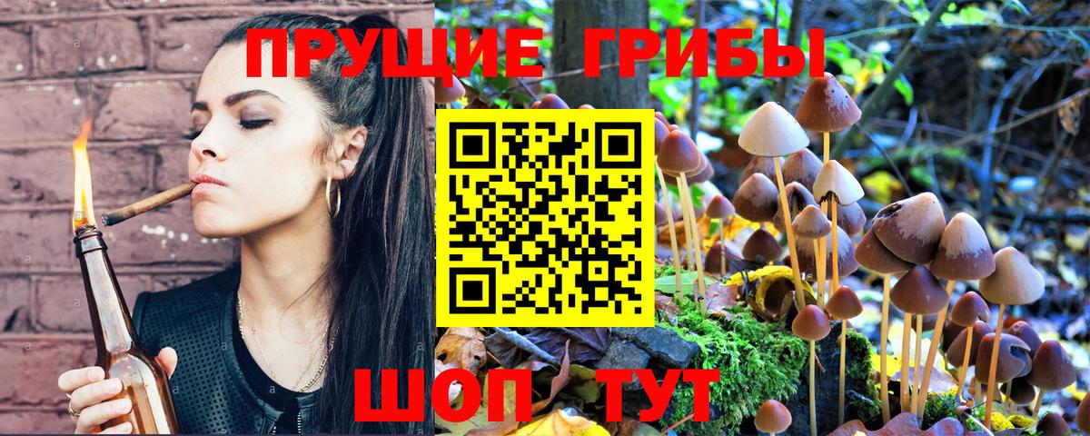 Галлюциногенные грибы Psilocybe  Вход с VPN  Котельники 